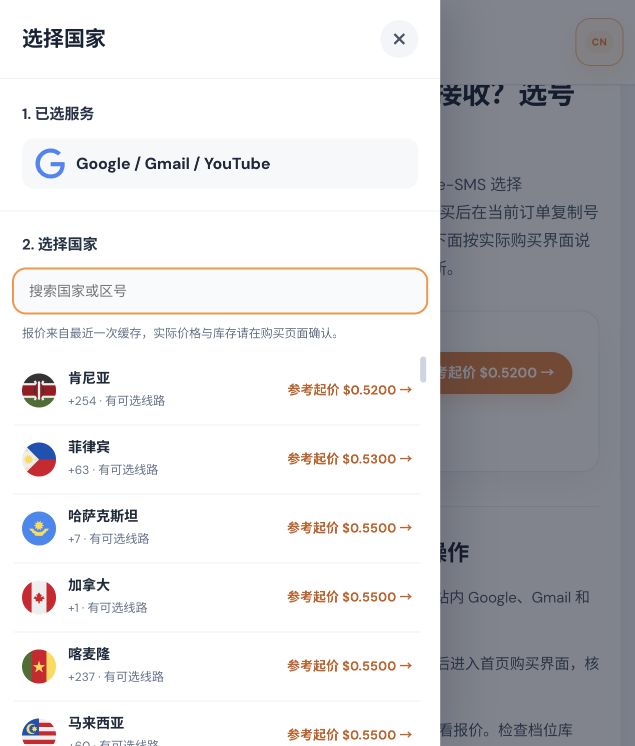 Bridge-SMS Google Gmail YouTube 服务的国家选择弹窗，显示已选服务、国家搜索框和各国参考起价