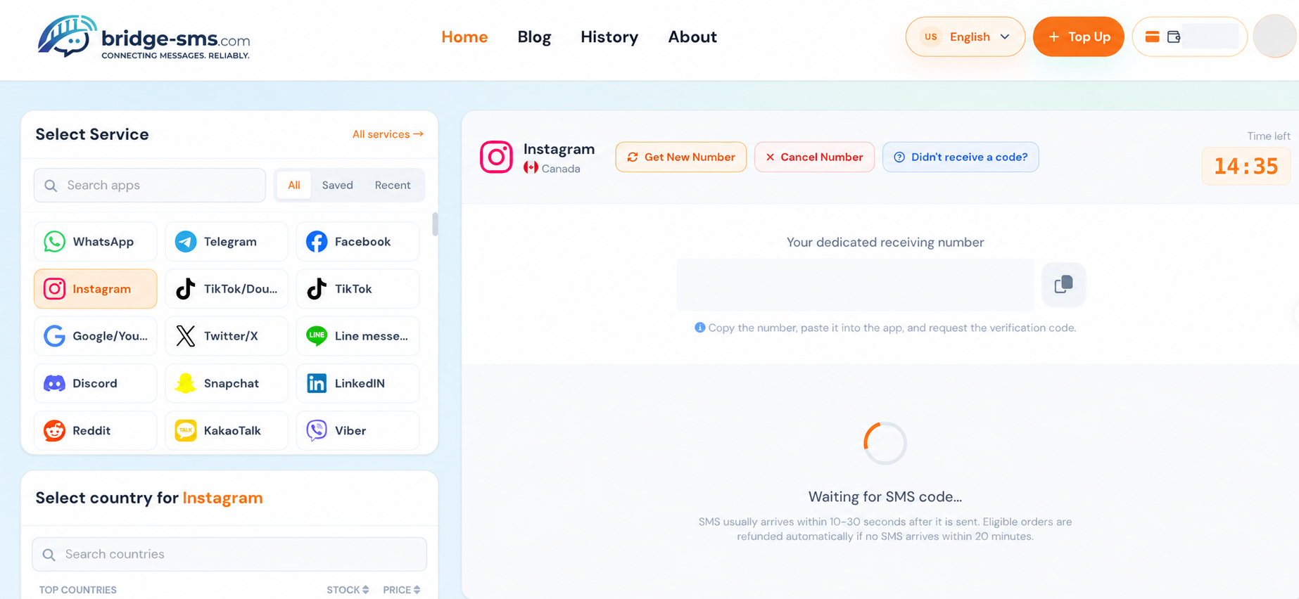 Bridge-SMS 的 Instagram 短信接码订单页面：左侧选中 Instagram 服务，右侧显示 Canada 号码位置与等待验证码状态，真实号码和账户余额已遮挡