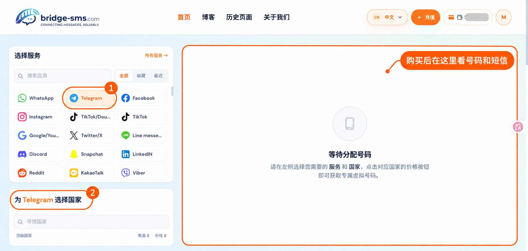 Bridge-SMS 首页截图：圈出选择服务、选择国家和右侧订单区域